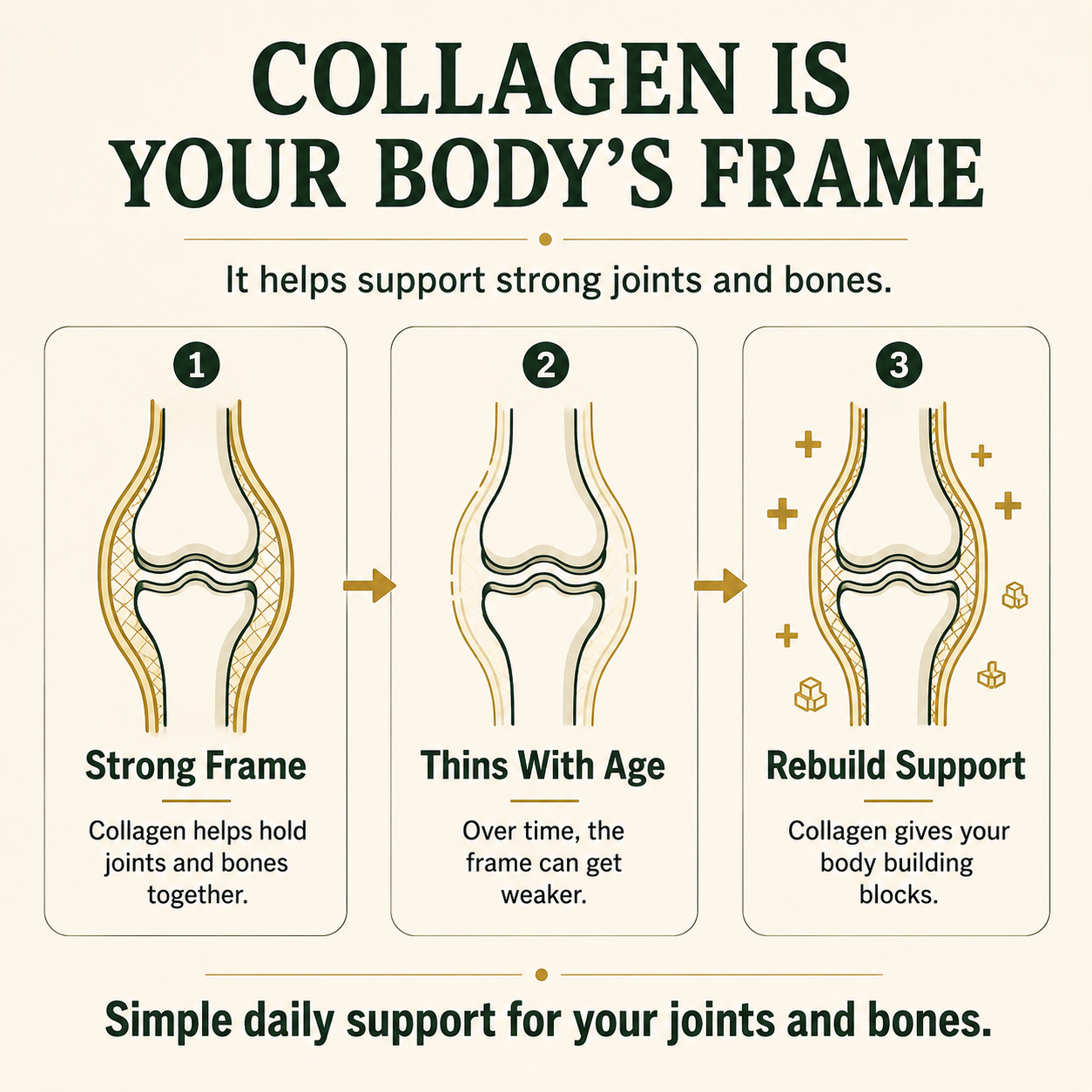 Collagen Peptides Powder