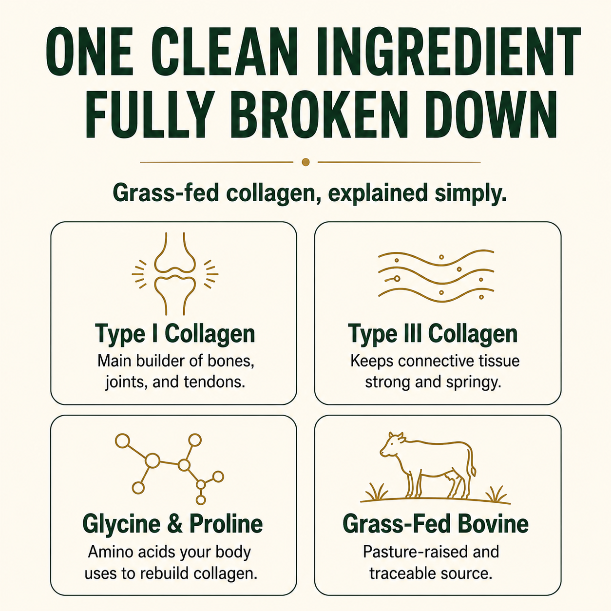 Collagen Peptides Powder
